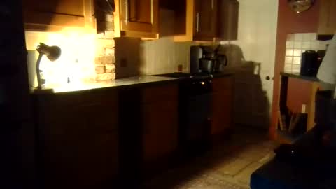 Ballet Bear online show from 11.02.25