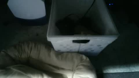 boton online show from 11.10.25