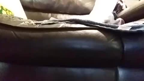 baobabtree8 online show from 01.09.25