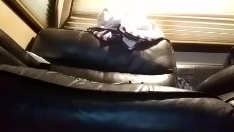 baobabtree8 online show from 01.14.25