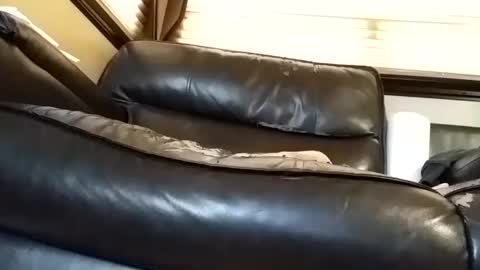 baobabtree8 online show from 03.06.25