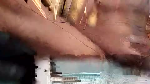 baobabtree8 online show from 10.15.25