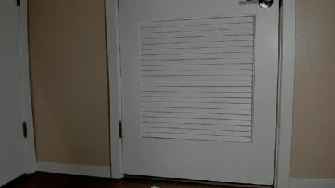 Emi online show from 04.16.26