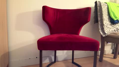 Batestallion9x6 online show from 01.19.26