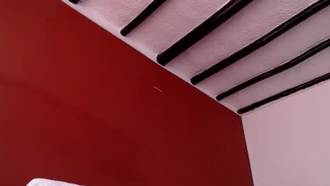 bayonette_black online show from 03.23.26