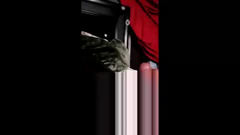 bbetoven online show from 06.04.26