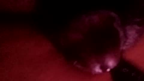 bcfalcon69 online show from 04.01.26