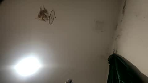 Sara  Juan online show from 11.27.25