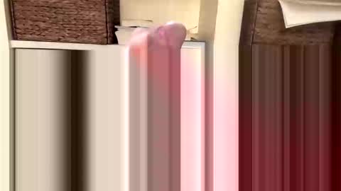 Snapshot of beachguy469 chatting on 11.18.25 BeachGuy online show from 11.18.25