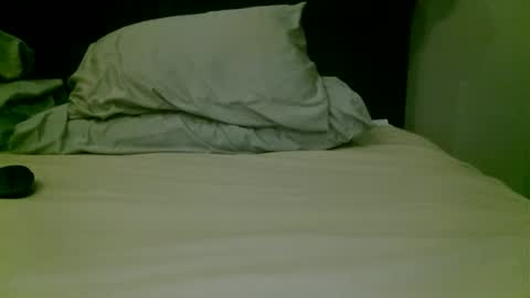 beagle1 online show from 04.17.26