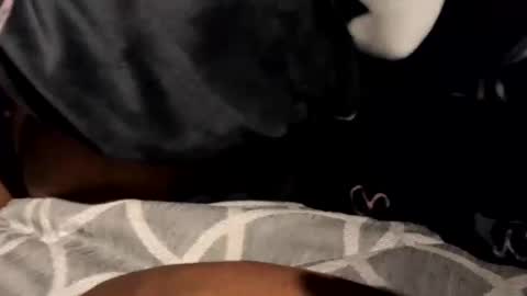 Snapshot of beastyadams chatting on 02.15.25 BeastyAdamsTgExotic online show from 02.15.25