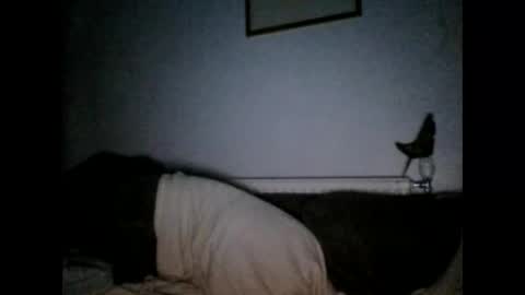 beatlebut online show from 10.01.25