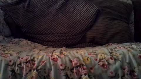 beatlebut online show from 10.16.25