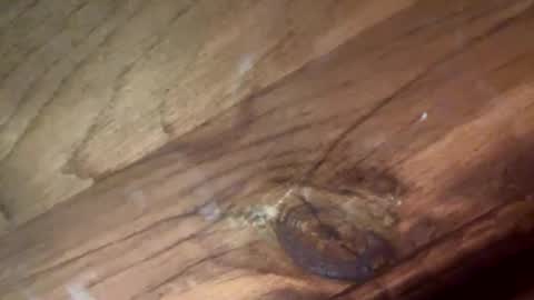 beautifukk online show from 01.14.26