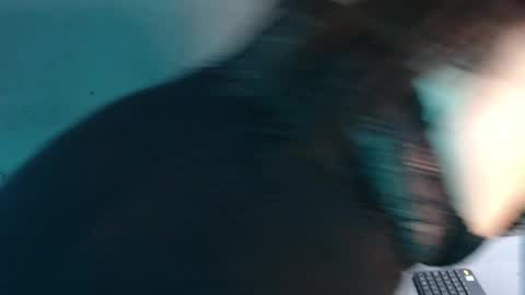 Belen online show from 03.31.26