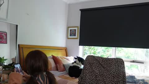 Alt Aussie online show from 04.10.26