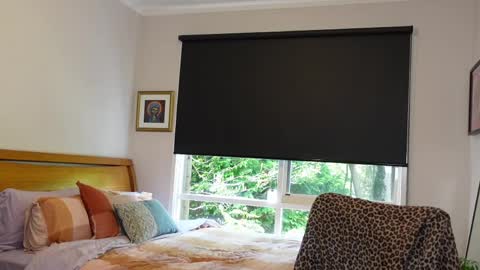 Alt Aussie online show from 04.17.26