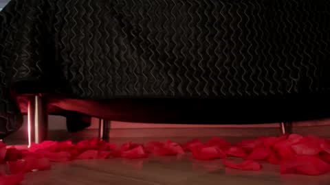 Dessi  online show from 11.21.25