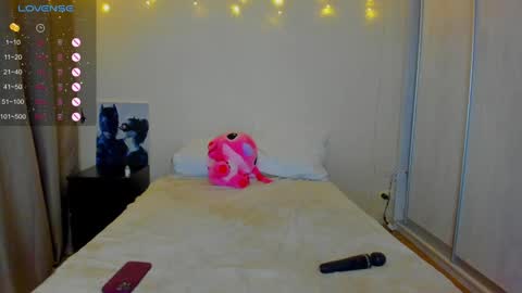 NastyaThere are legends that in this room all your wishes can come true  Private is Open online show from 02.26.25