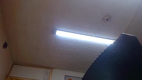 Snapshot of bella_lady_1_ chatting on 12.31.24 lady online show from 12.31.24