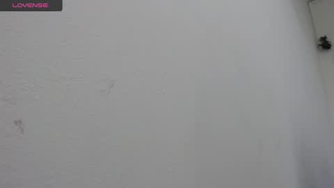 Snapshot of bella_lady_1_ chatting on 02.19.25 lady online show from 02.19.25