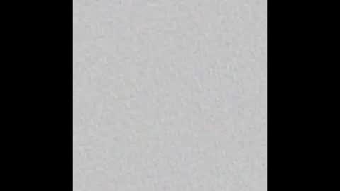 bellamwah online show from 12.21.25