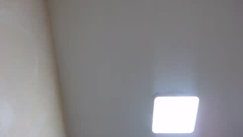 Snapshot of bevora13 chatting on 01.03.25 Nixie online show from 01.03.25