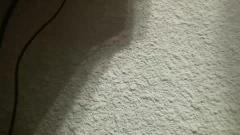 Bigfish123 online show from 02.04.25