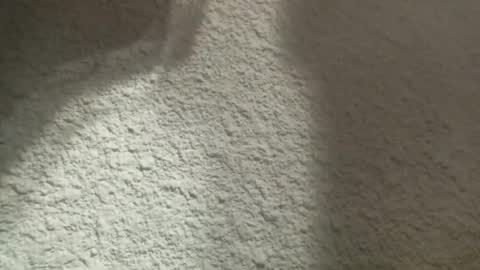 Bigfish123 online show from 03.12.25