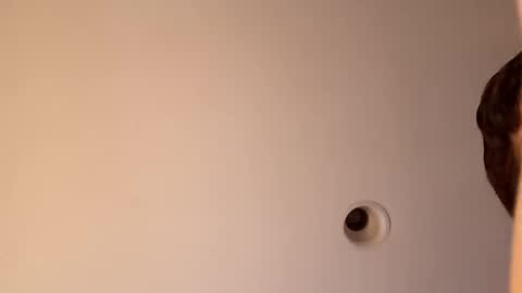 Snapshot of bgiamba21 chatting on 10.16.25 bgiamba21 online show from 10.16.25