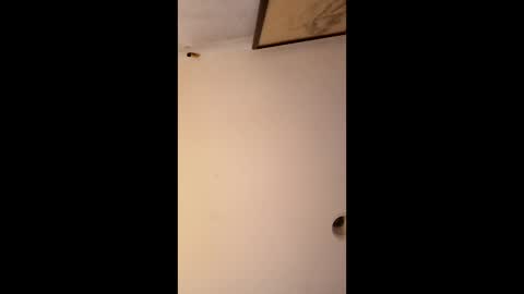 bgiamba21 online show from 01.12.26