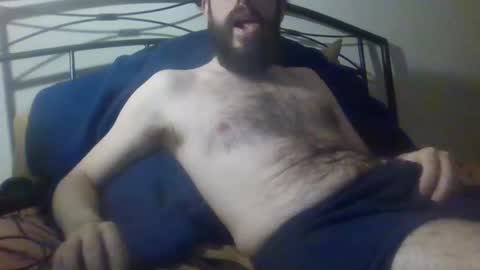 bibotguy online show from 12.12.24