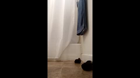 bibottom68942 online show from 12.22.25