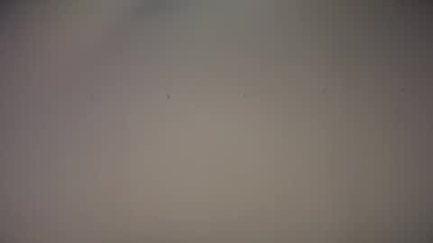 Snapshot of biff_beaverhausen chatting on 11.01.25 Biff Beaverhousen online show from 11.01.25