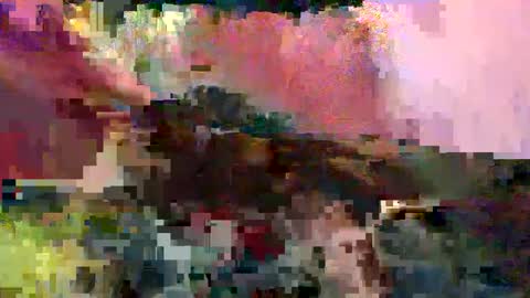 big9inchsnake online show from 01.05.25