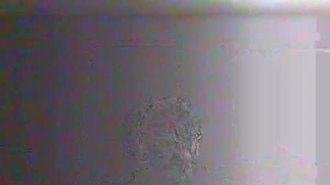 bigalnoone online show from 03.26.26