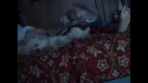 BB online show from 10.20.25