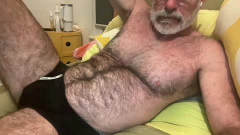 big bush online show from 07.07.26