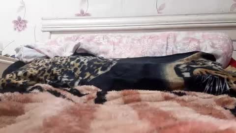 Snapshot of bigcock977654 chatting on 02.23.25 bigcock977654 online show from 02.23.25