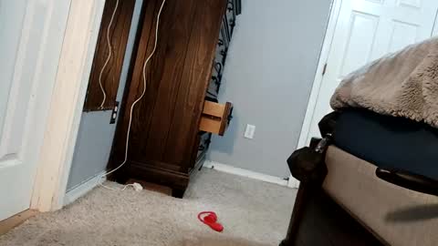 bigcockdaddy247 online show from 12.17.24