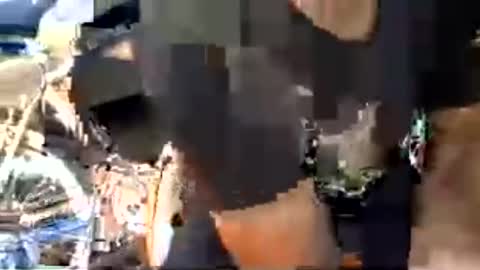 bigcok4you6969 online show from 06.15.26