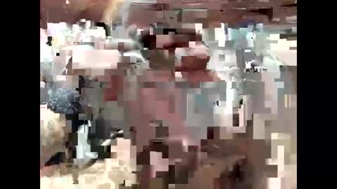 BigDaddykodack online show from 09.15.25