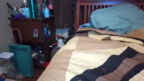 Snapshot of bigdaddy199030 chatting on 02.13.25 BigDaddy199030 online show from 02.13.25