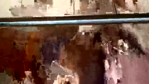 bigdick31589 online show from 05.04.26