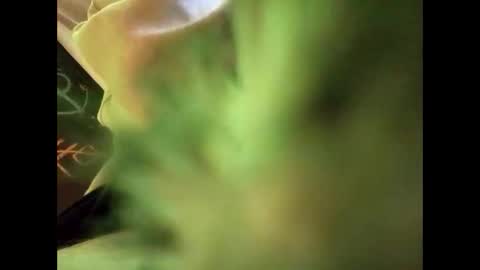 bigdickguy69690 online show from 02.22.25