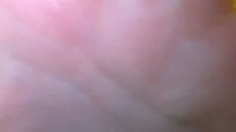 bigdickitalian137 online show from 09.29.25