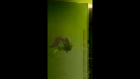 bigdog9thick online show from 04.06.26