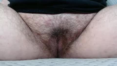 Abby online show from 11.08.25