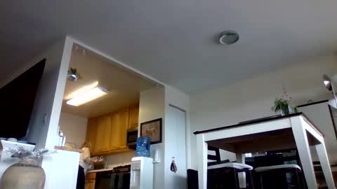 bigjoed233 online show from 01.10.26