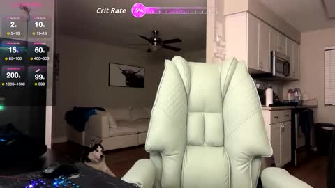 Snapshot of bigmcr1 chatting on 02.03.26 Nick Barker online show from 02.03.26